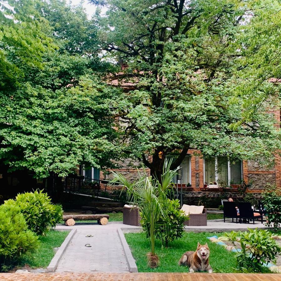 Wald Hotel Lagodekhi Εξωτερικό φωτογραφία