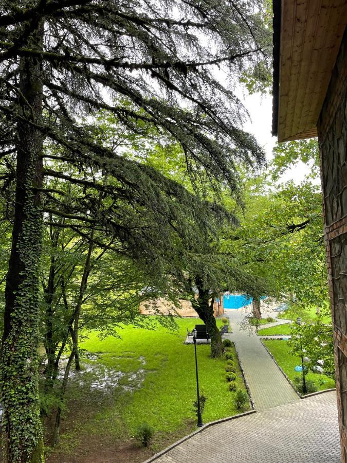 Wald Hotel Lagodekhi Εξωτερικό φωτογραφία