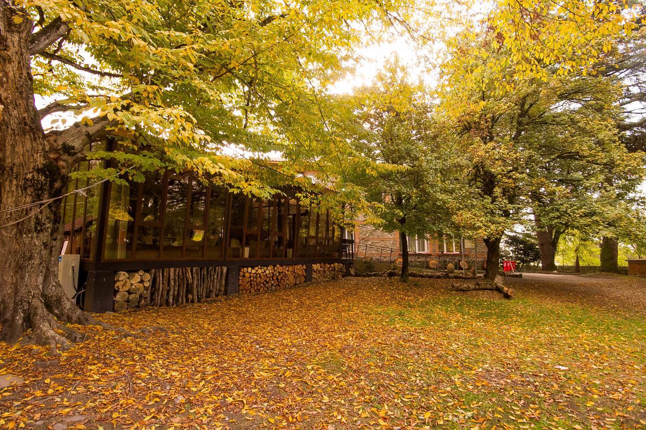 Wald Hotel Lagodekhi Εξωτερικό φωτογραφία